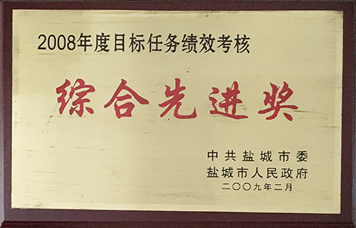 2009年2月目標(biāo)任務(wù)績(jī)效考核“綜合先進(jìn)獎(jiǎng)”.JPG